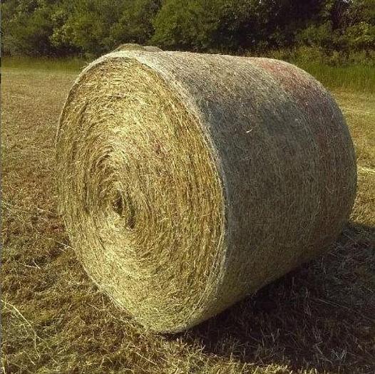 Used 2018 Case IH RB465