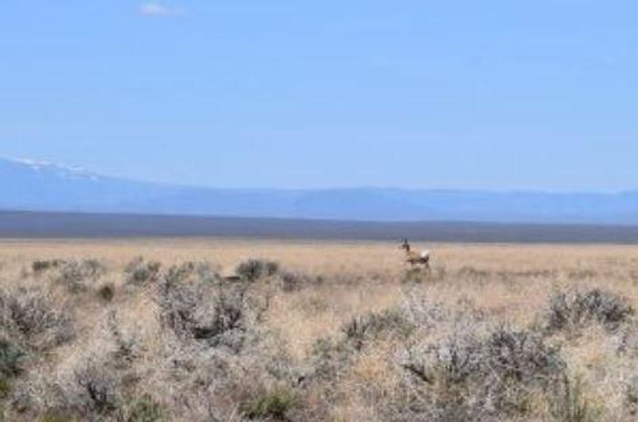 Used Unknown 100 Acres in Willow Creek Hot Springs, Fields, OR