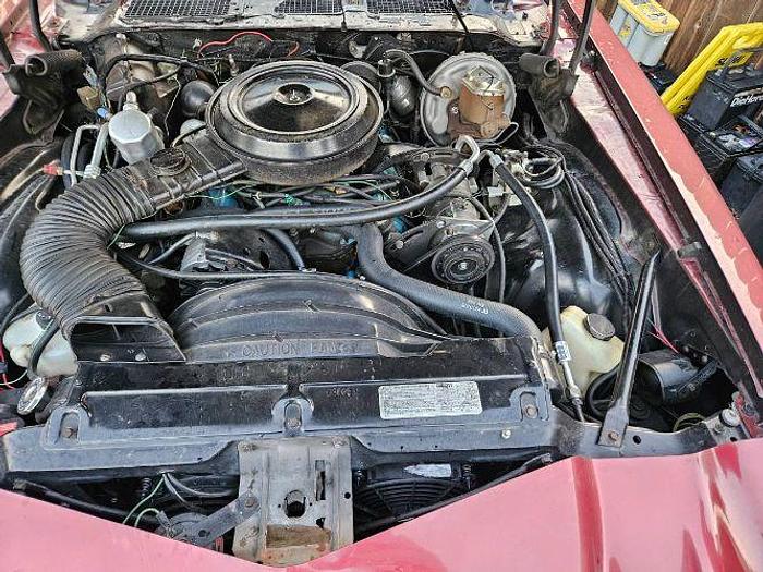 Used 1978 Chevrolet Camaro Z28