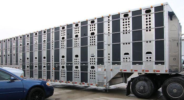 Used 2024 Merrit Livestock Trailer