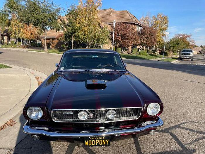 Used 1965 Ford Mustang Fastback