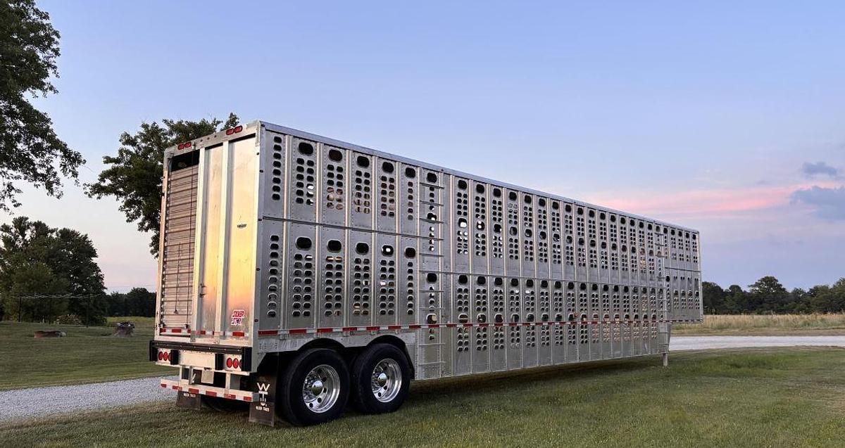Used 2019 WILSON PSDCL-402 Livestock Trailer