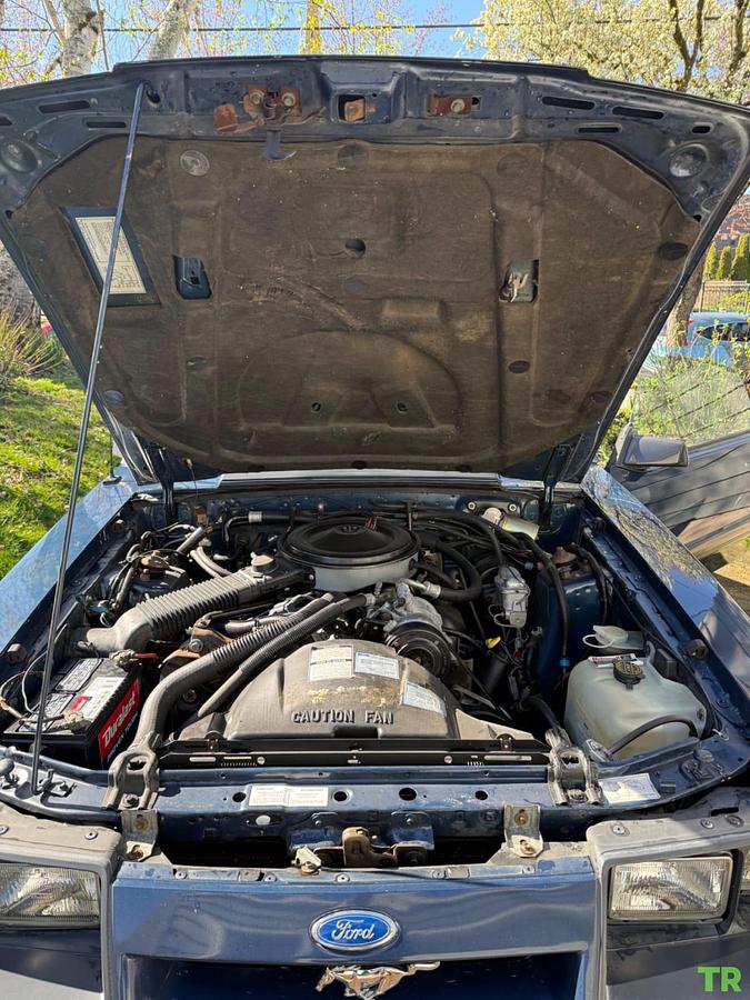 Used 1986 Ford Mustang LX Convertible 3.8L V6