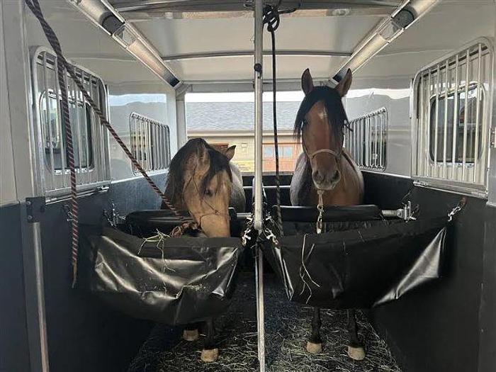 Used 2019 Cimarron Norstar