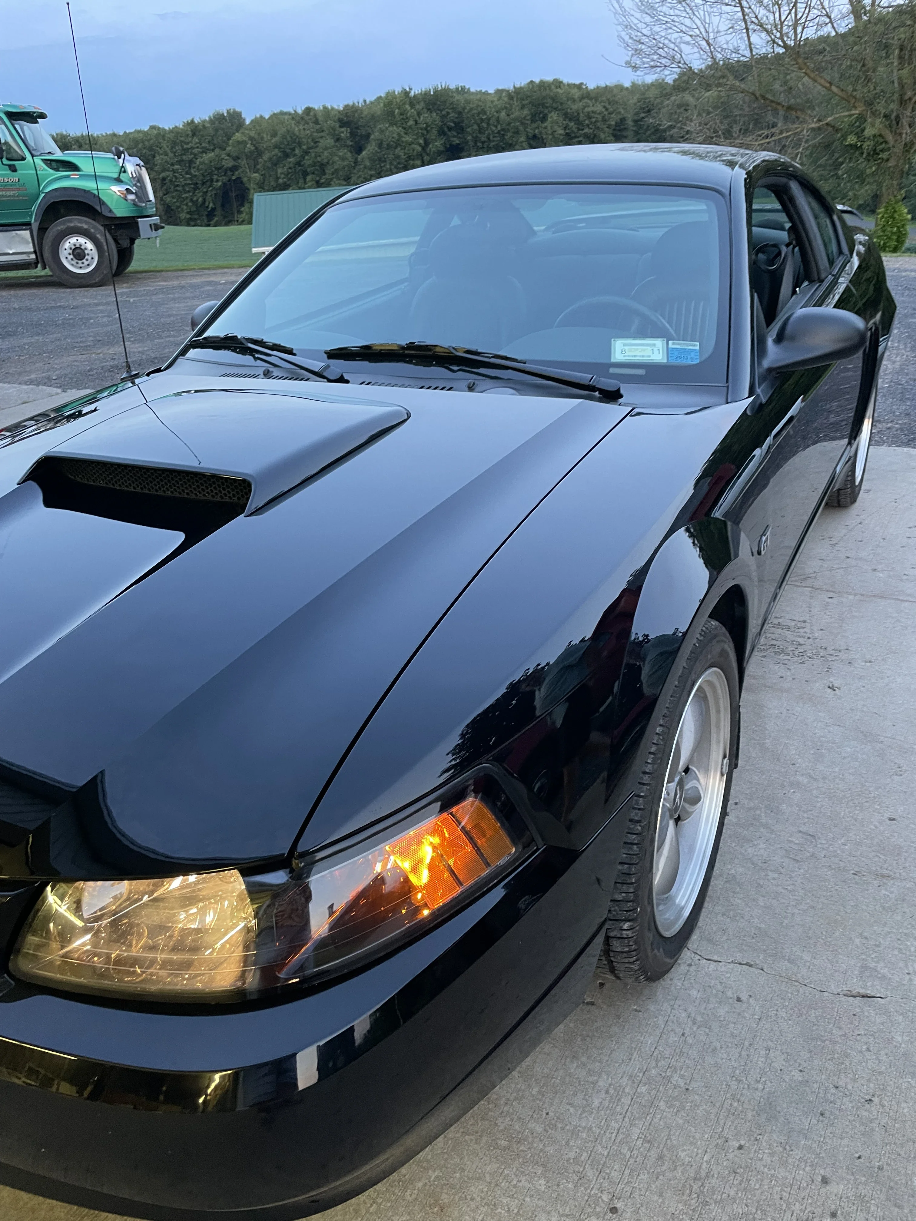 Used 2001 Ford Mustang Bullet