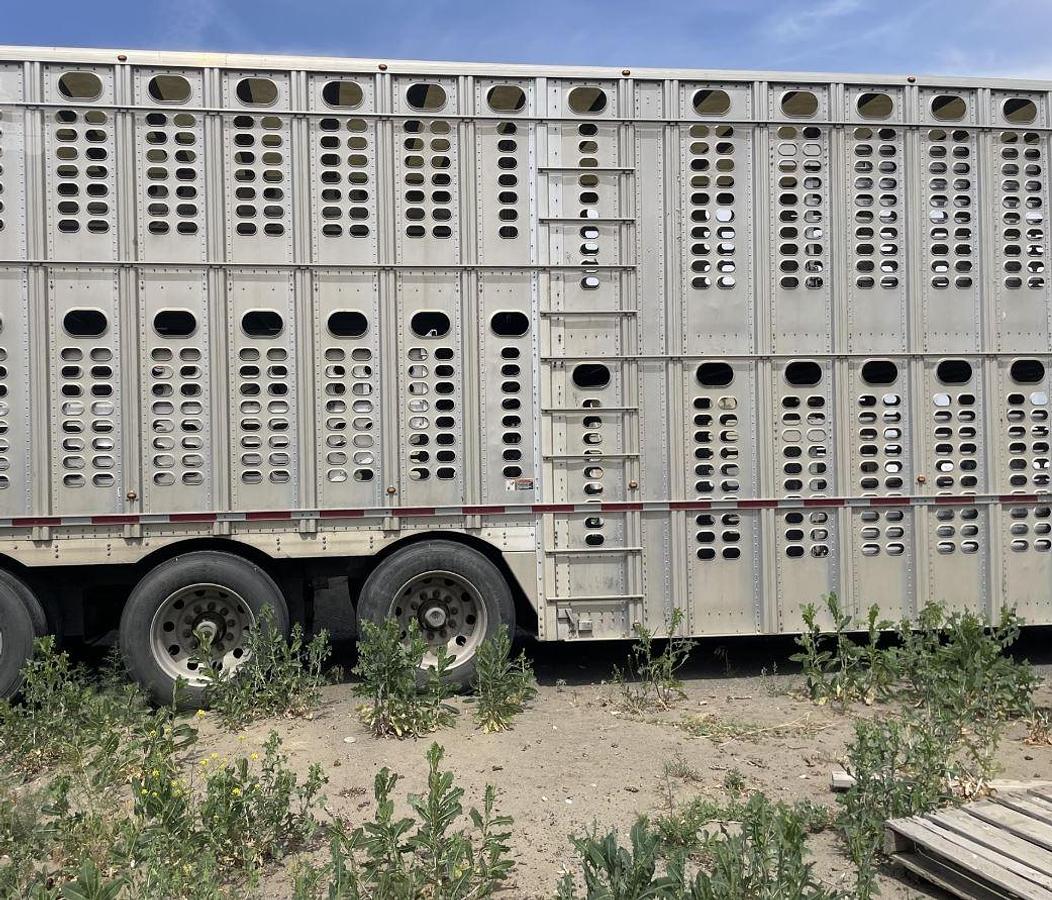 Used 2019 Wilson PSDCL-402 Livestock Trailer