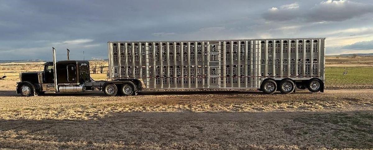 Used 2022 WILSON 53 ft x 102 in