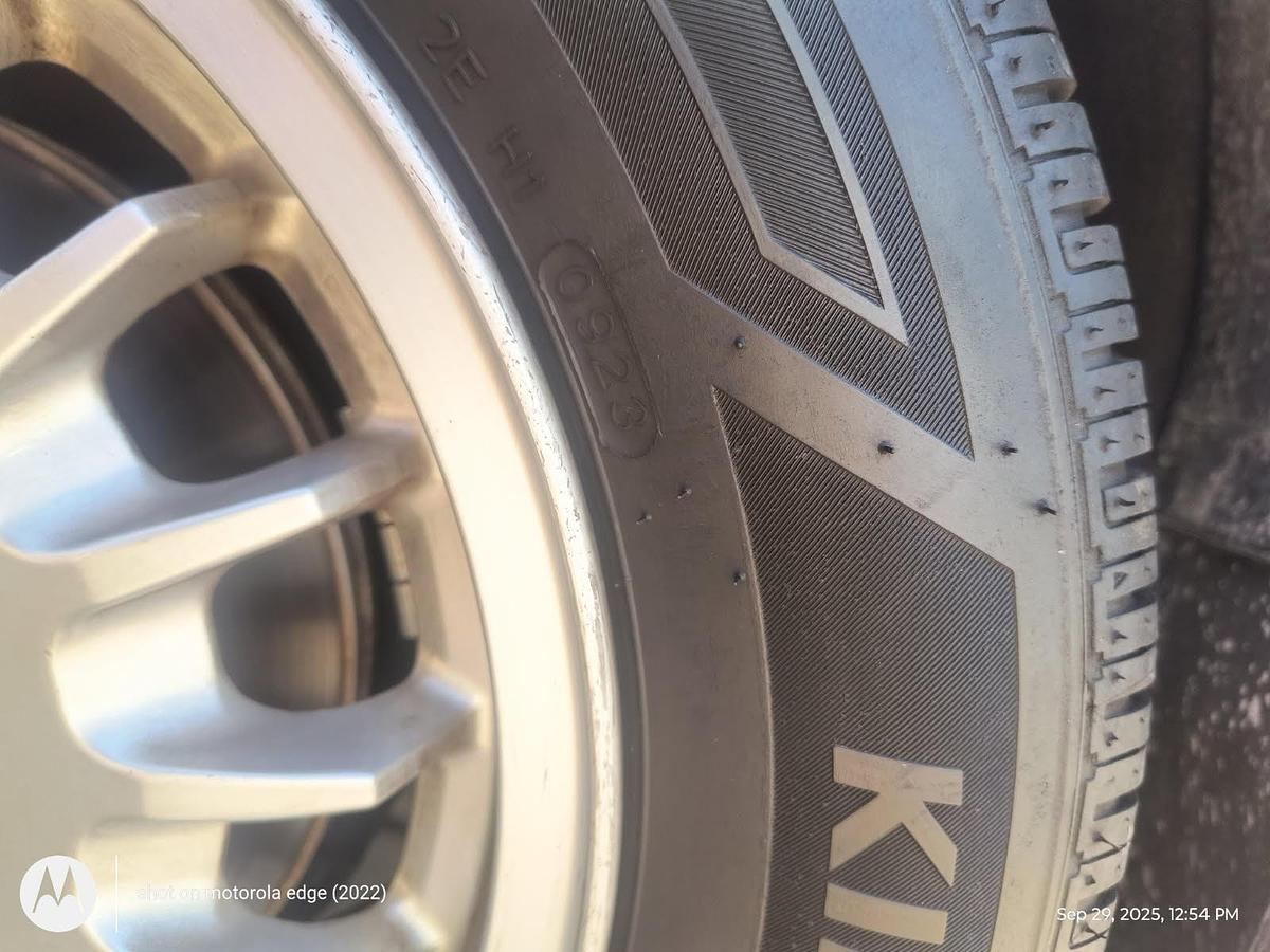 Used 1985 BMW 325 Euro