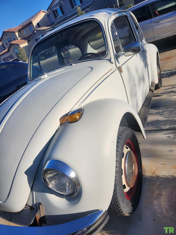 Used 1969 Volkswagen Beetle