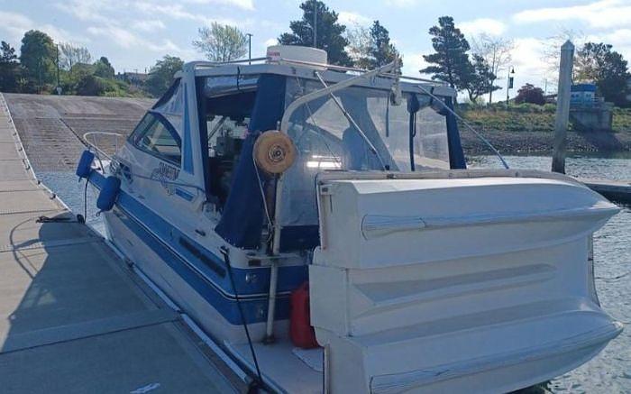 Used 1987 Sea Ray Sundancer