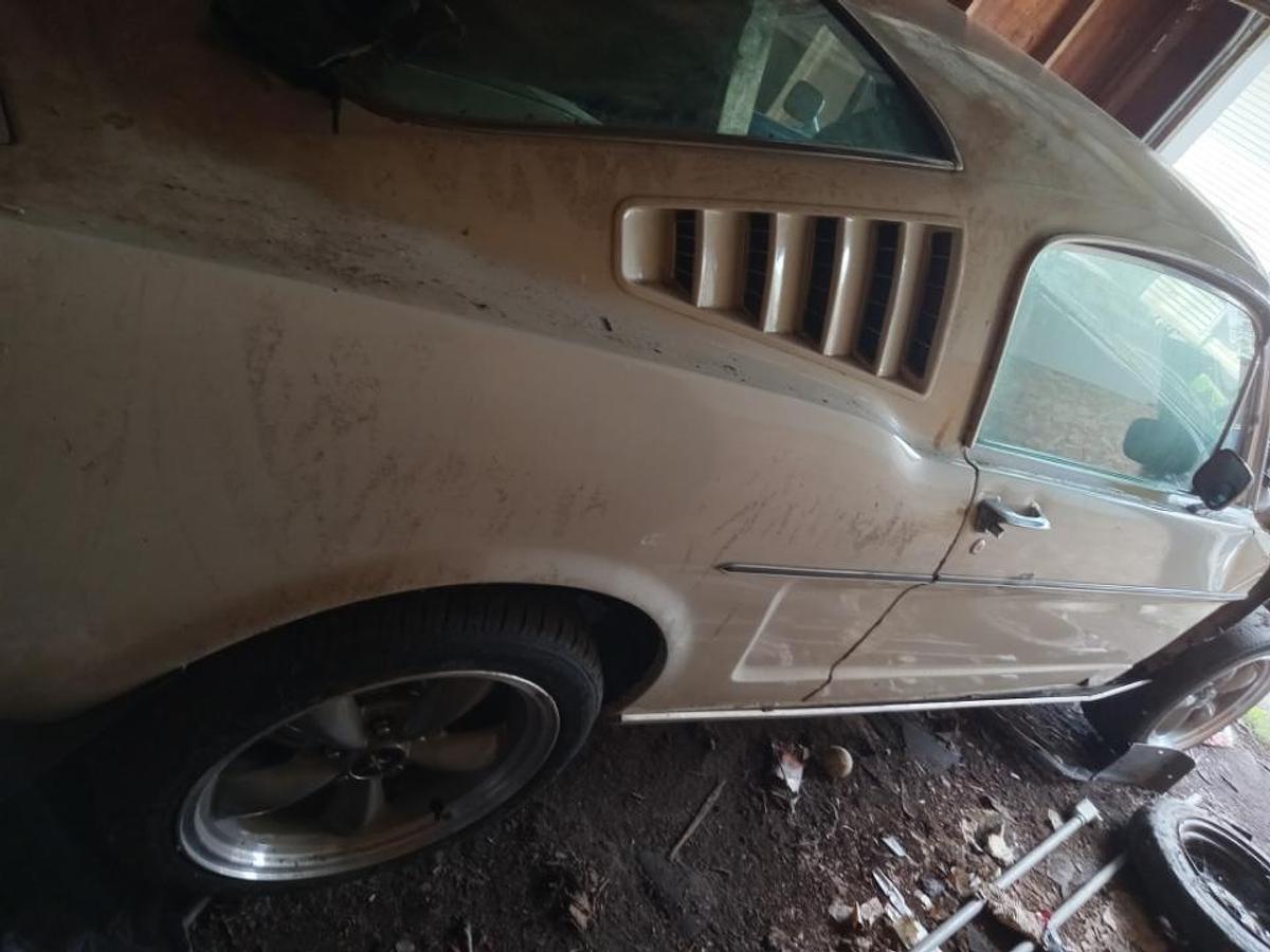 Used 1965 Ford Mustang
