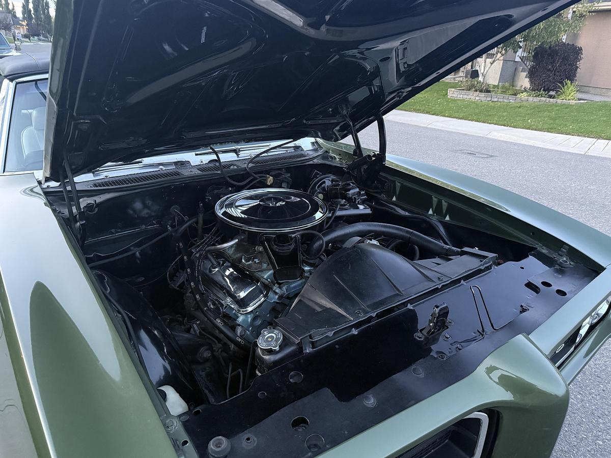 Used 1969 Pontiac GTO Convertible