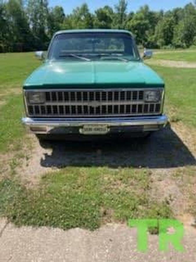 Used 1981 Chevrolet Custom Deluxe 10 Pickup