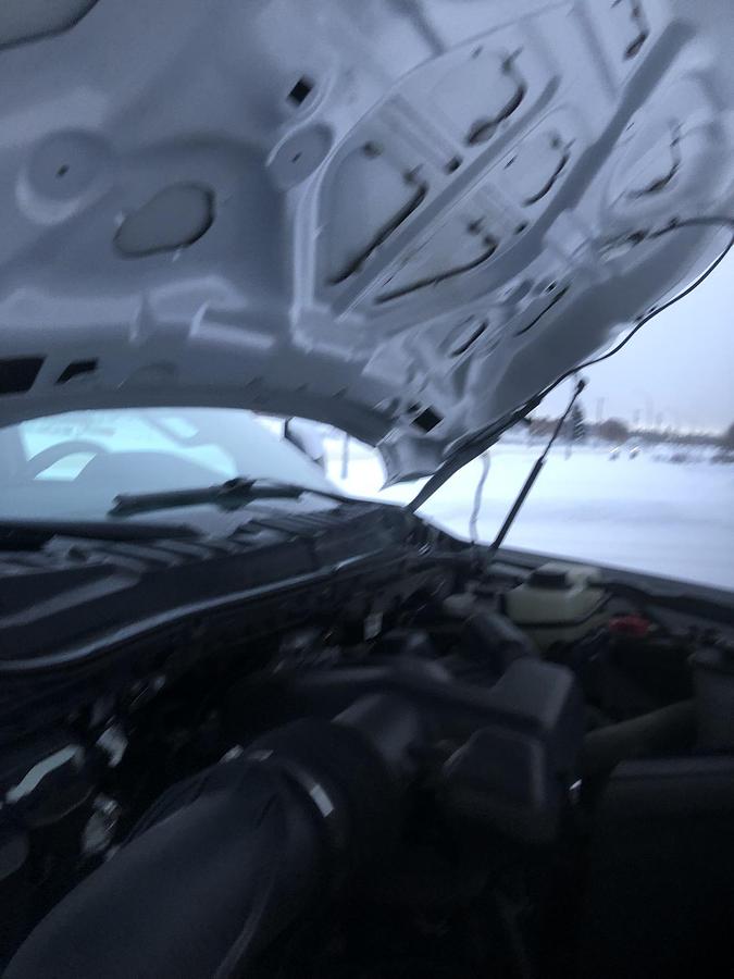 Used 2019 FORD F250 XLT Super Duty