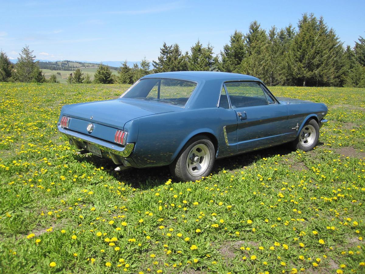Used 1965 Ford Mustang