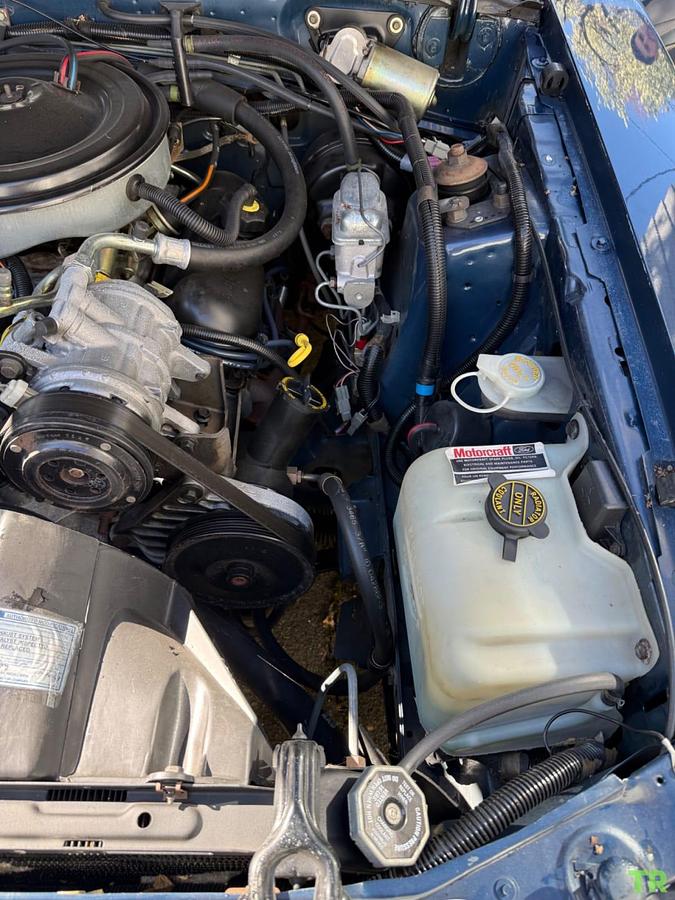 Used 1986 Ford Mustang LX Convertible 3.8L V6