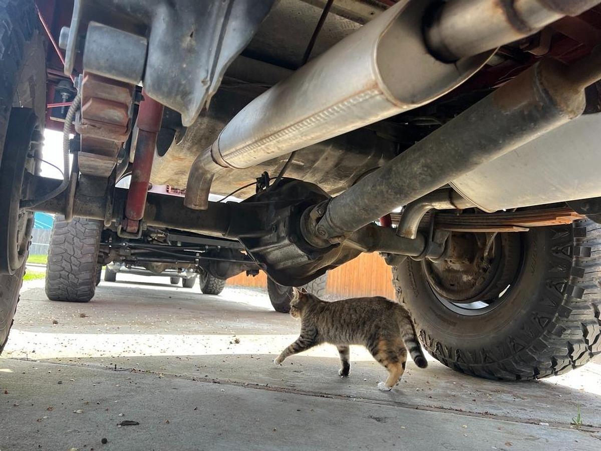 Used 1966 International Scout 800 Half Cab Pickup