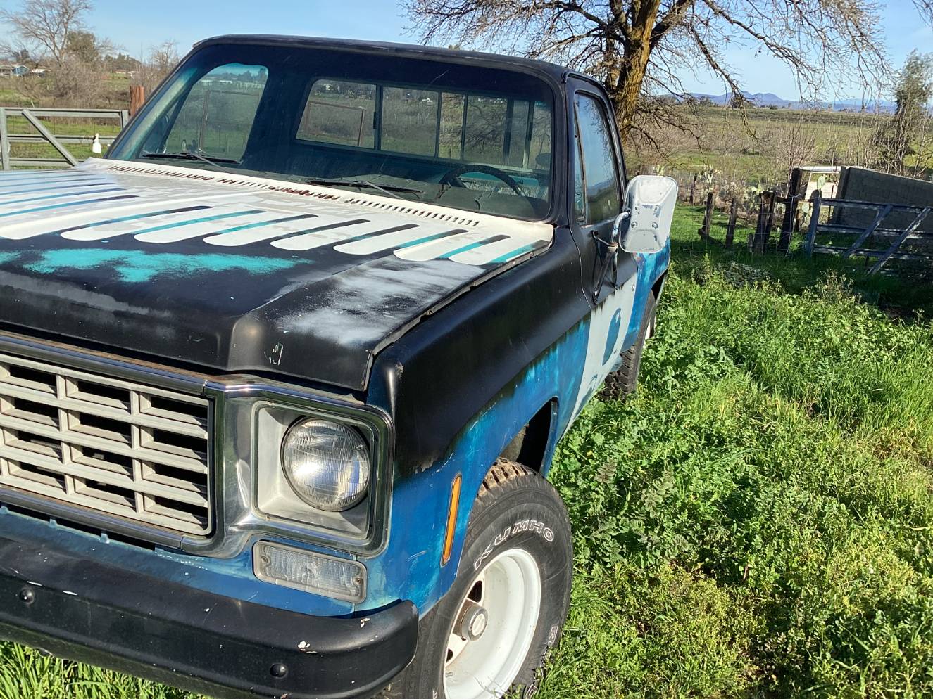Used 1976 Chevrolet Stepside