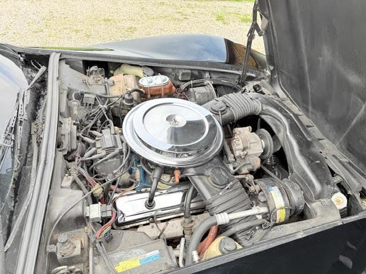 Used 1980 Chevrolet Corvette Coupe