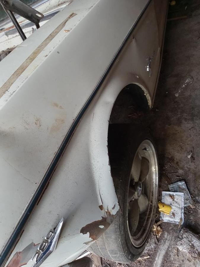 Used 1965 Ford Mustang