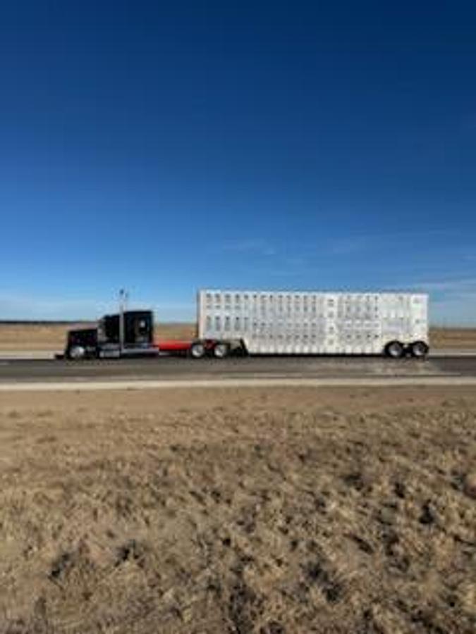 Used 2019 Kenworth W900L