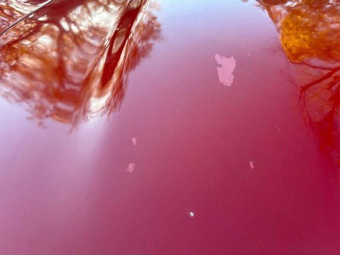 Used 1975 Chevrolet Corvette Stingray