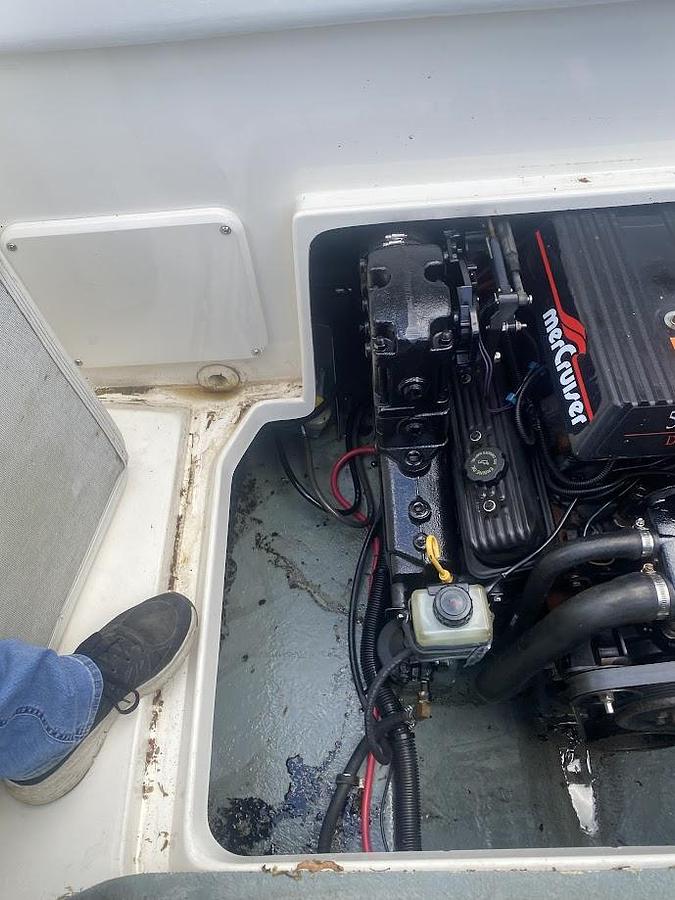 Used 1997 Sea Ray 215 Express Cruiser