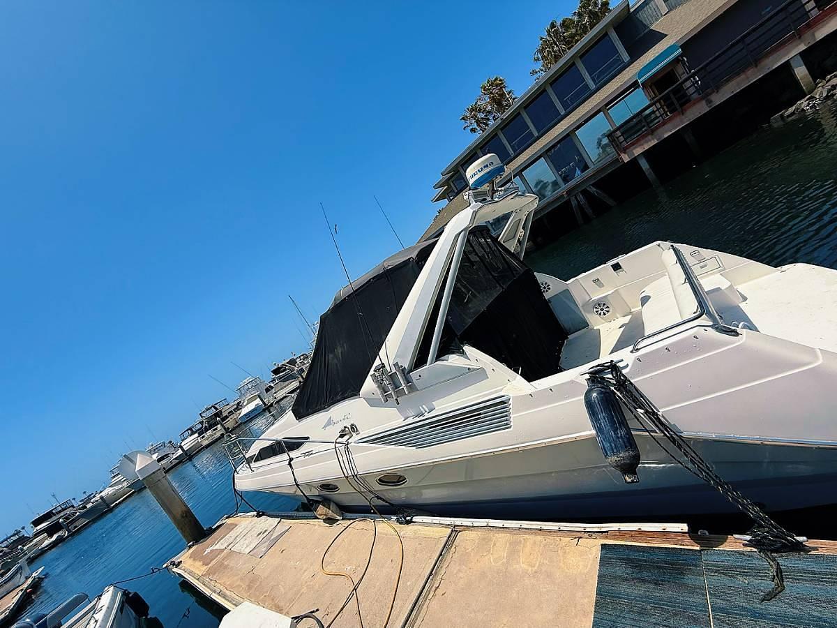 Used 1991 Bayliner Avanti 3555