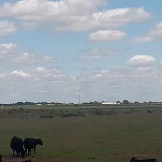 Used 2024 AG Land 162 Acres