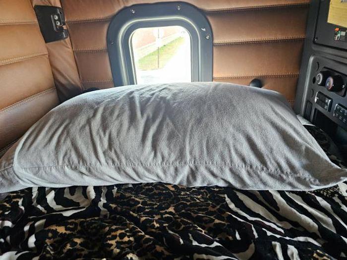 Used 2019 Cascadia 116