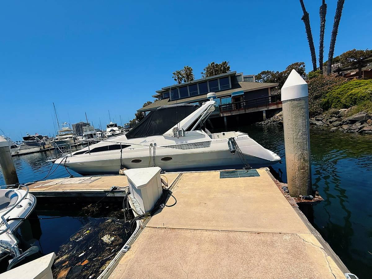 Used 1991 Bayliner Avanti 3555