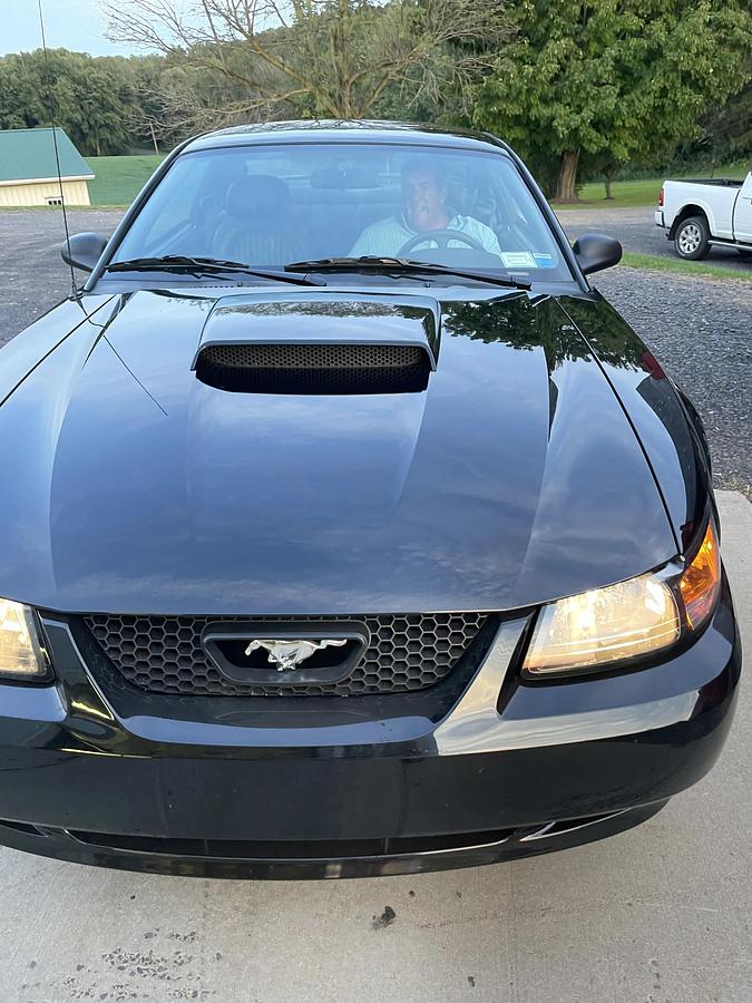 Used 2001 Ford Mustang Bullit