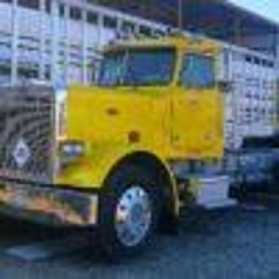Used 1986 Peterbilt 359