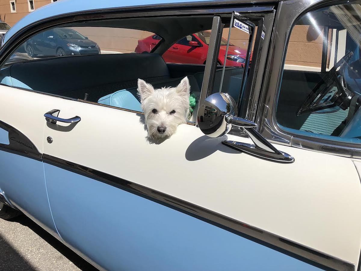 Used 1956 Ford Custom Line Victory