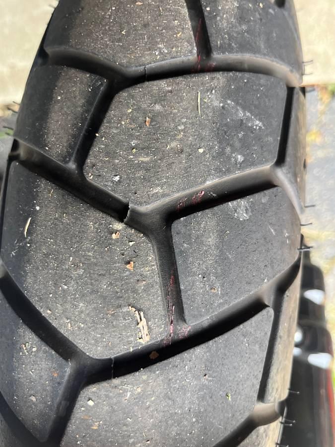 Used 2019 Harley Davidson Fatbob 114 Softail Motorcycle