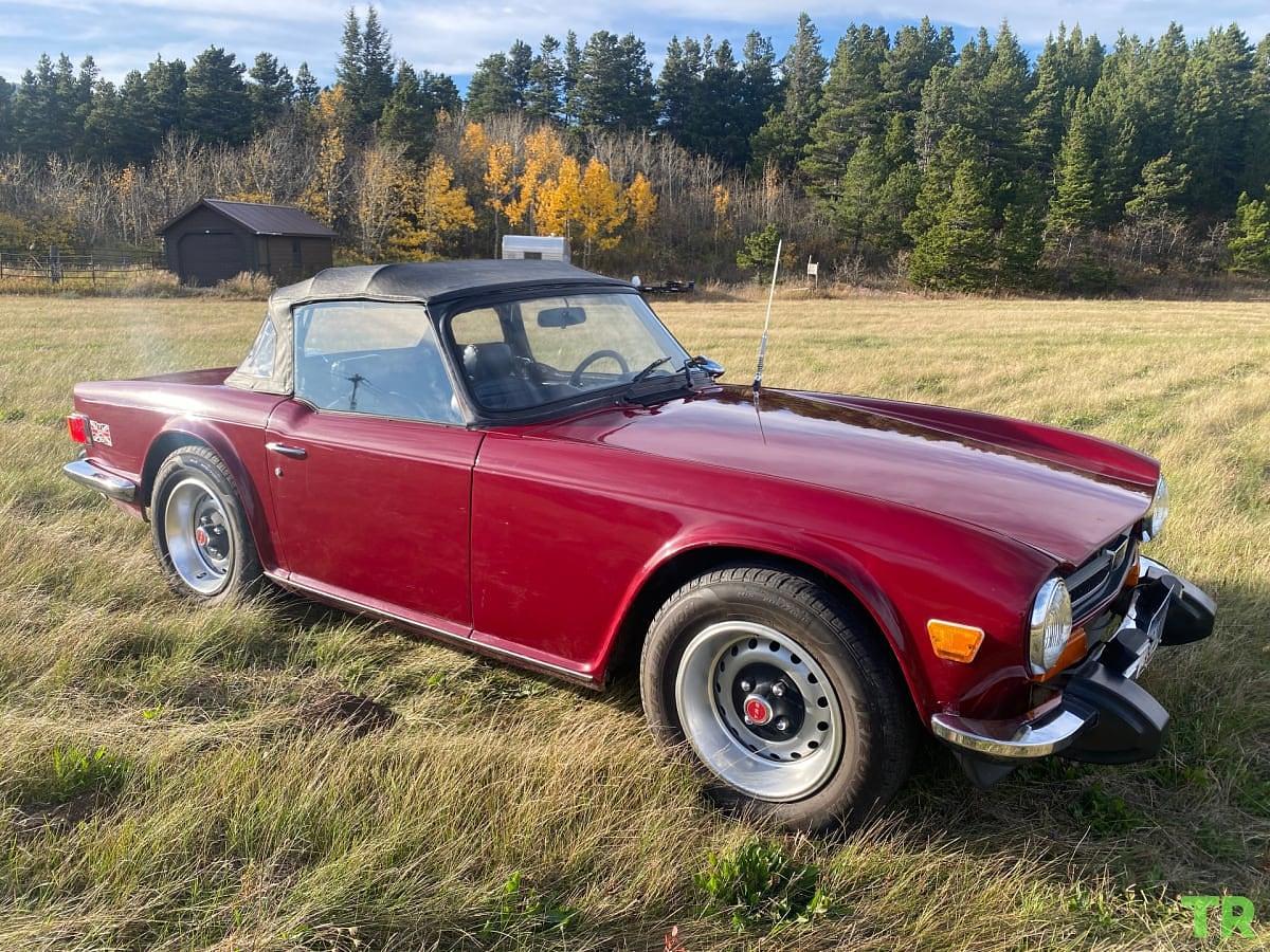 Used 1974 Triumph Tr6 Convertible