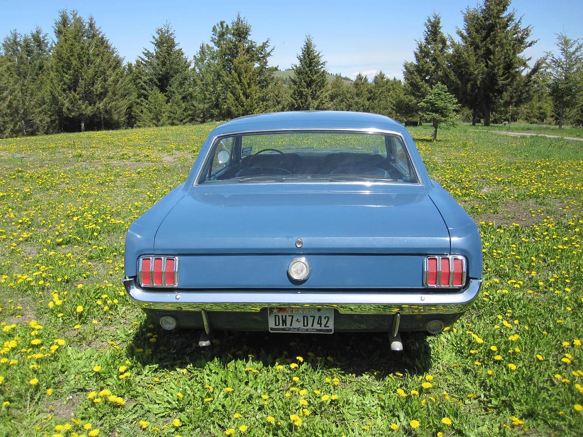 Used 1965 Ford Mustang