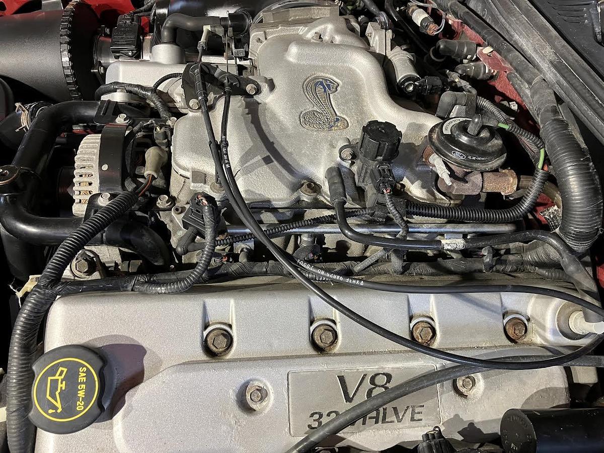 Used 2001 Ford Mustang Cobra SVT