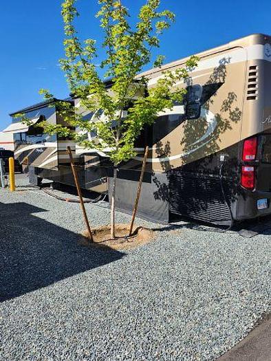 Used 2011 Tiffin Motorhomes Allegro Bus 43QRP