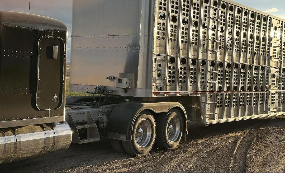 Used 2022 WILSON 53 ft x 102 in