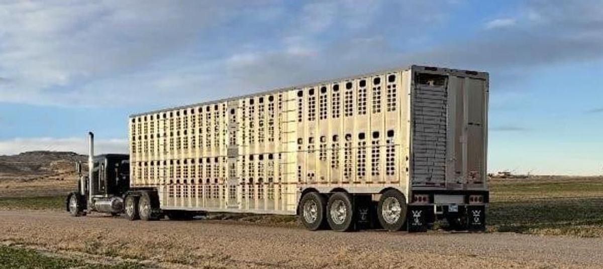 Used 2022 WILSON 53 ft x 102 in