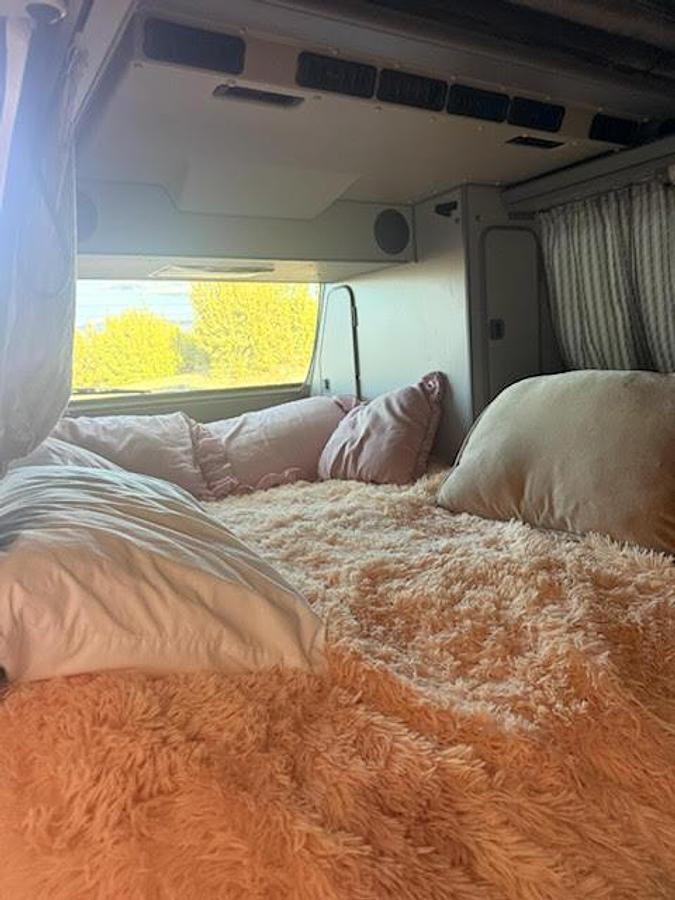 Used 1989 Volkswagen Westfalia