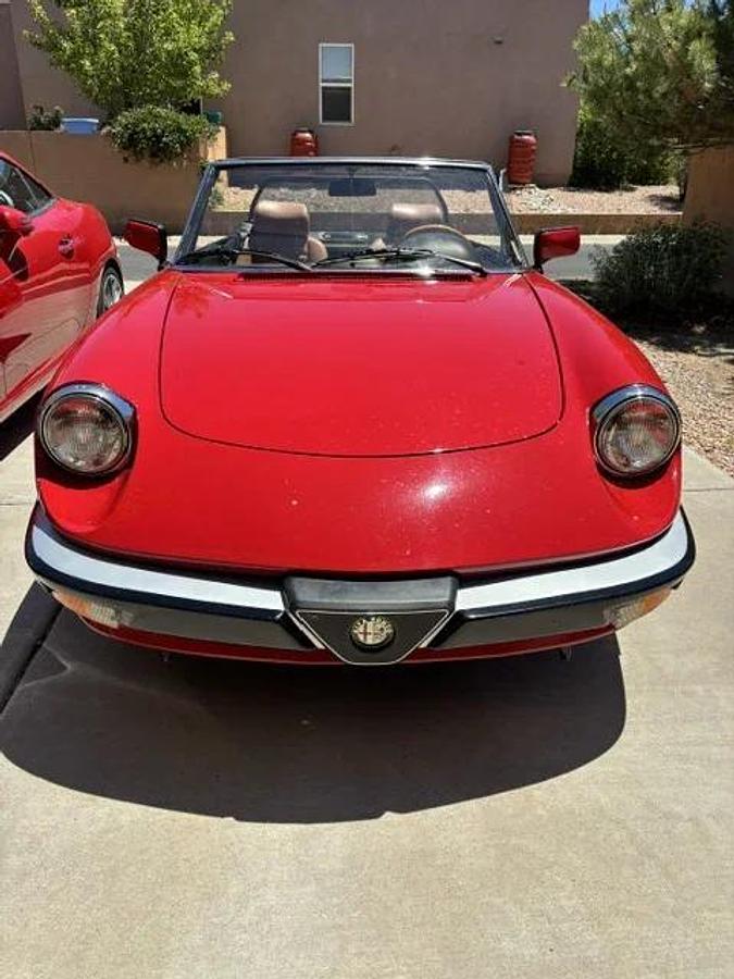 Used 1986 Alfa Romeo Spider