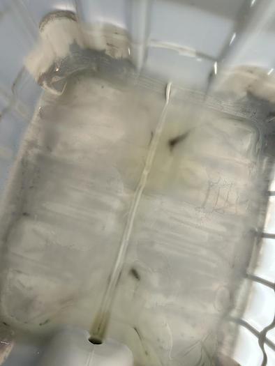 Used EASY CLEAN WATER TOTE