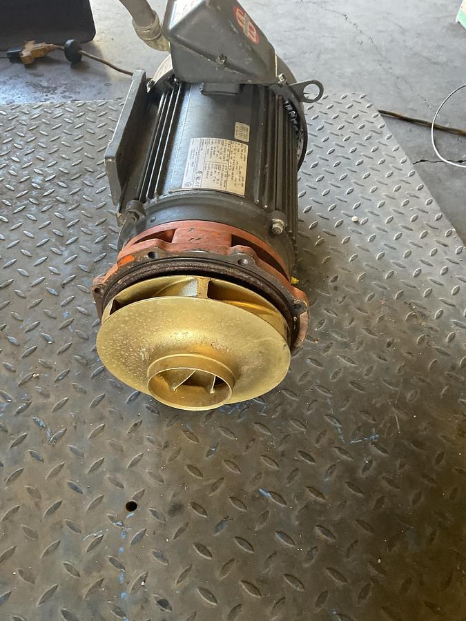 Used US MOTORS / NIDEC ELECTRIC MOTOR WITH BERKELEY PUMP – 10 HP, 3 PHASE, 208–230/460V, TEFC