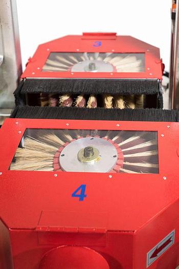 Northtech NT MBS12-2T1R2L-EL Five Head Moulding Brush Sander