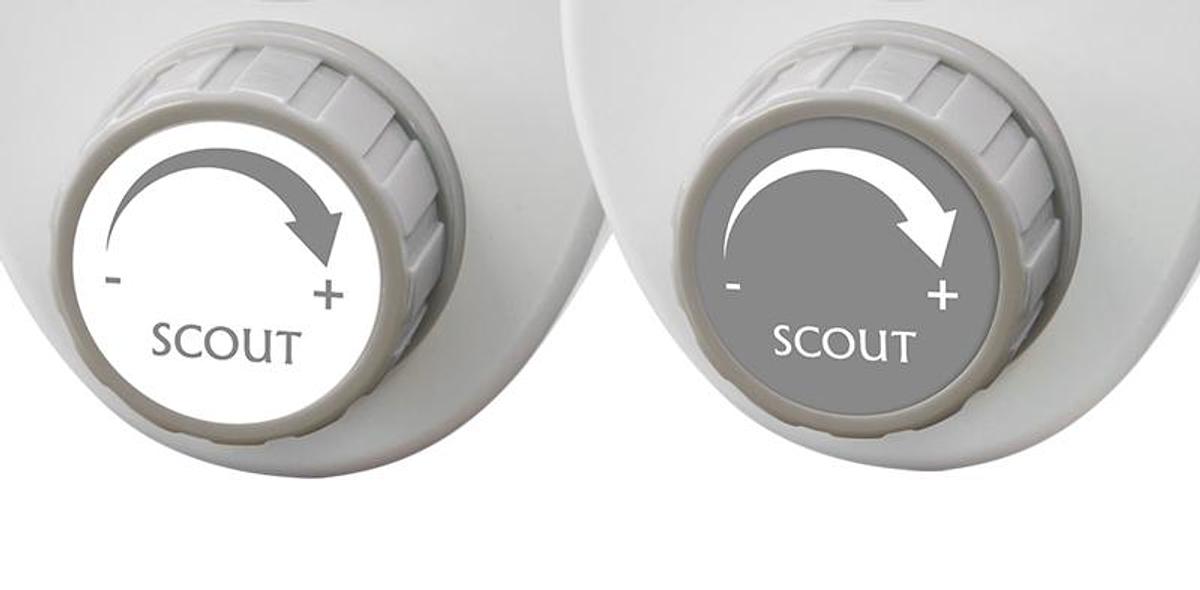 Scout
