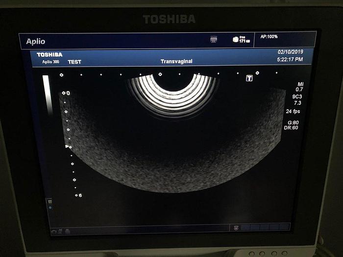 Gebraucht Toshiba Aplio 300 Ultraschallsystem mit 3 Sonden