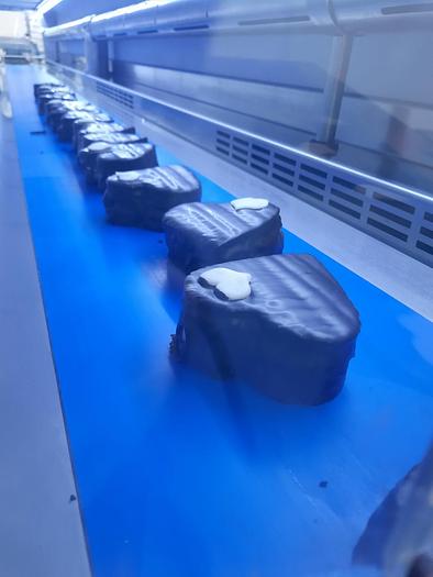 Used 2016 Selmi Cooling Tunnel