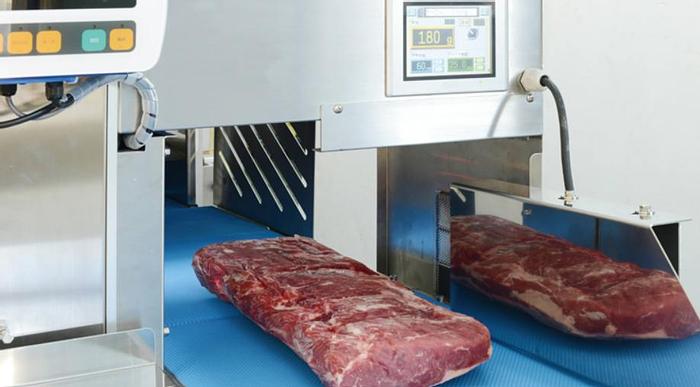 Nantsune Model NTD-300F Libra 300F 3D Frozen Fixed Weight Meat Slicer